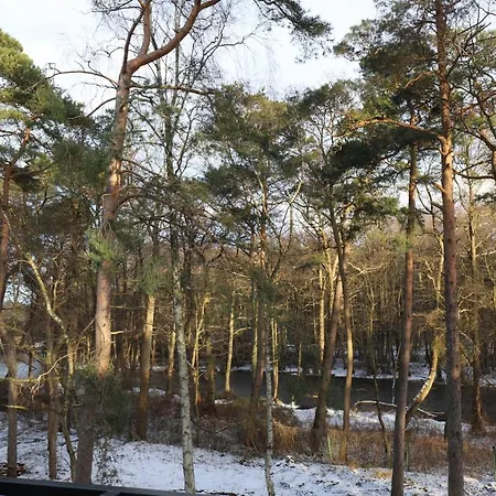 Apartment Nowe Kameralne Graniczna2g - Sosnowy I Bardzo Blisko Plazy