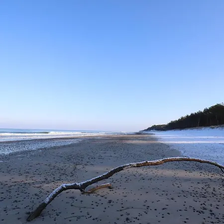 Nowe Kameralne Graniczna2g - Sosnowy I Bardzo Blisko Plaży Apartament