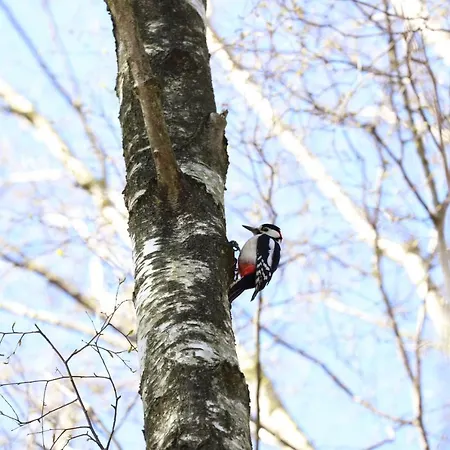 Apartman Nowe Kameralne Graniczna2g - Sosnowy I Bardzo Blisko Plazy *