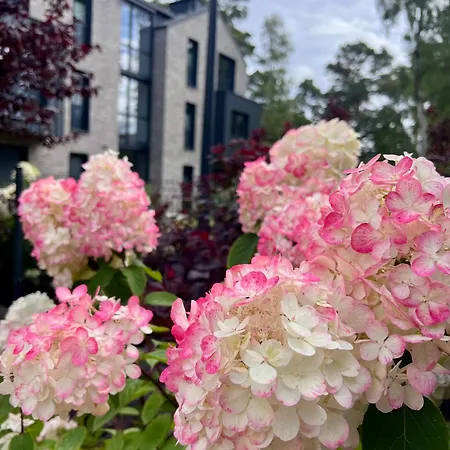 Apartman Nowe Kameralne Graniczna2g - Sosnowy I Bardzo Blisko Plazy